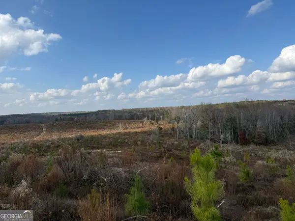 994 Joe Jones Road, Ideal, GA 31041