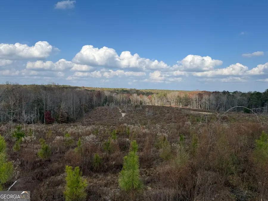 994 Joe Jones Road, Ideal, GA 31041 - #2