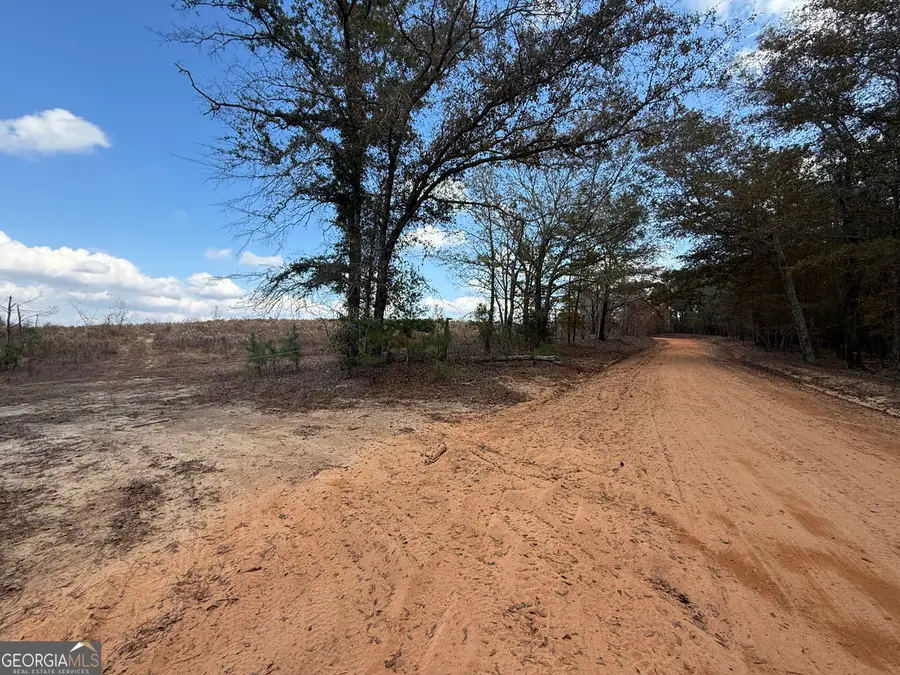 994 Joe Jones Road, Ideal, GA 31041 - #3