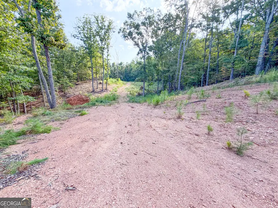 334 Lefevers Road, Cedartown, GA 30125 - #3