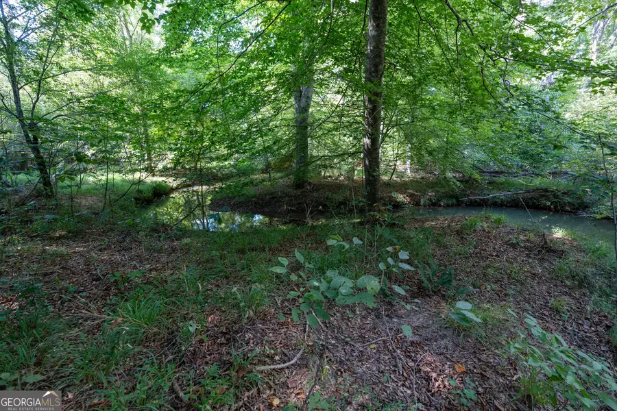 12 Bunch Road, Tignall, GA 30668 - #3