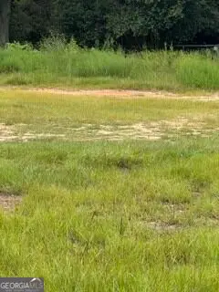 114 Elm Street, Tifton, GA 31794 - #3