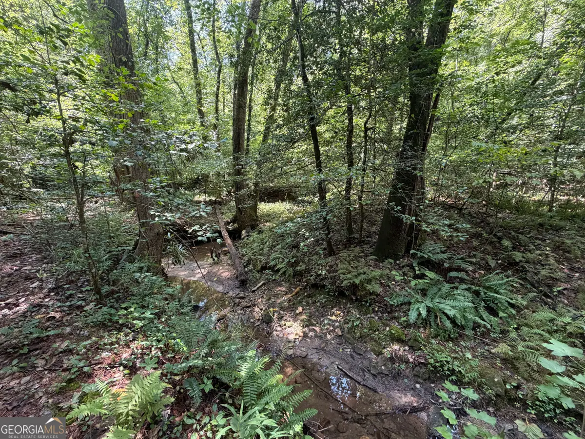 0 Alpine Drive, Sautee Nacoochee, GA 30571 - #1