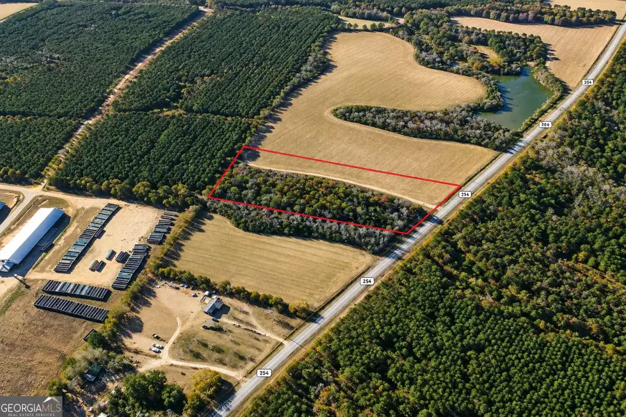7.5 ACRES Cemetery Road, Rochelle, GA 31079 - #2