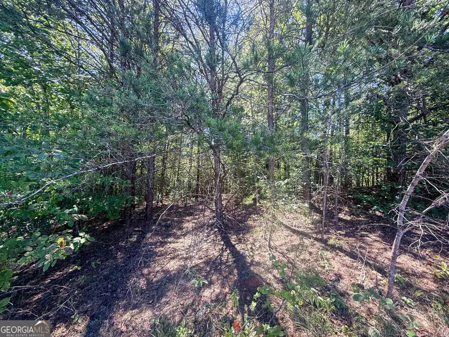 TRACT 1 Sunshine Ridge Drive, Toccoa, GA 30577 - #2