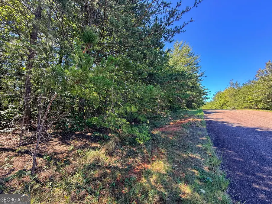 LOT 21 Sunshine Ridge Drive, Toccoa, GA 30577 - #3