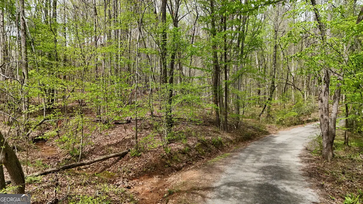 0 Shenandoah Drive, Cleveland, GA 30528 - #1