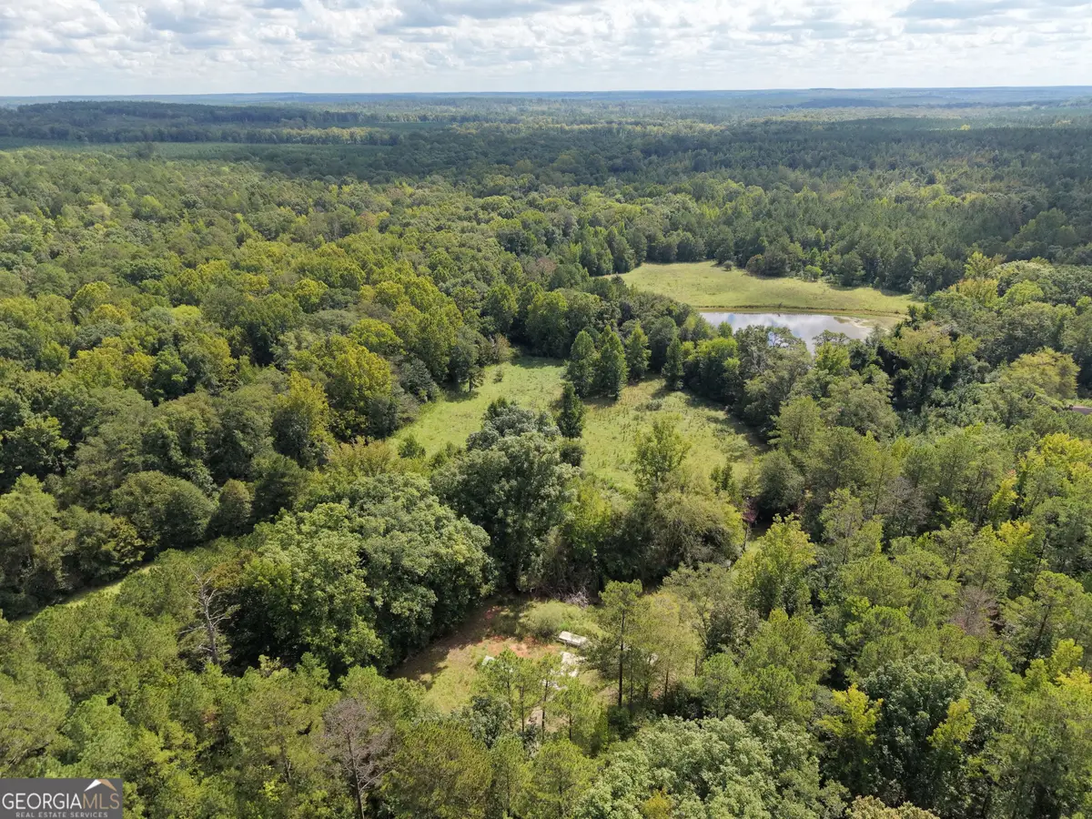 8117 Linton Road, Sparta, GA 31087 - #1