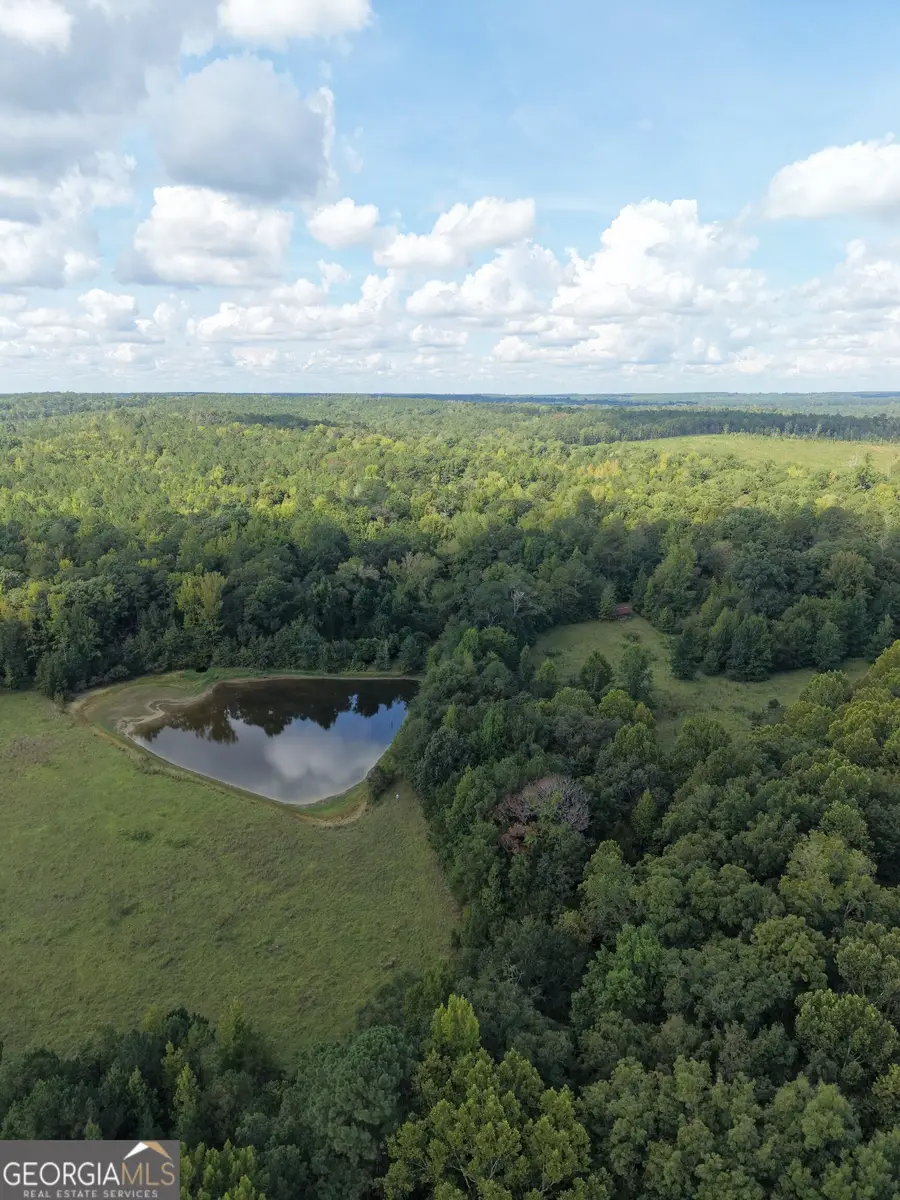 8117 Linton Road, Sparta, GA 31087 - #3
