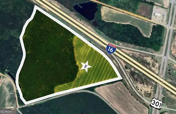 64.05 ACRES Highway 301, Register, GA 30452