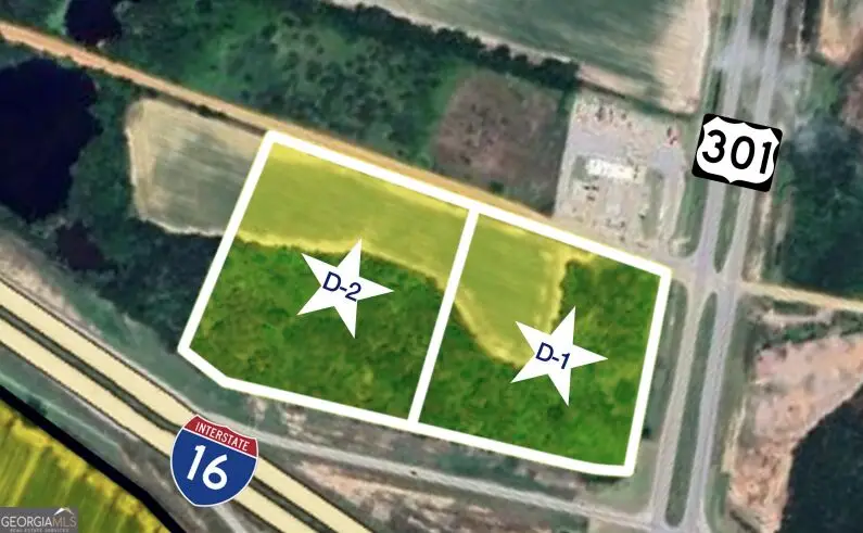 9.94 ACRES Highway 301 #D-2, Register, GA 30452 - #1