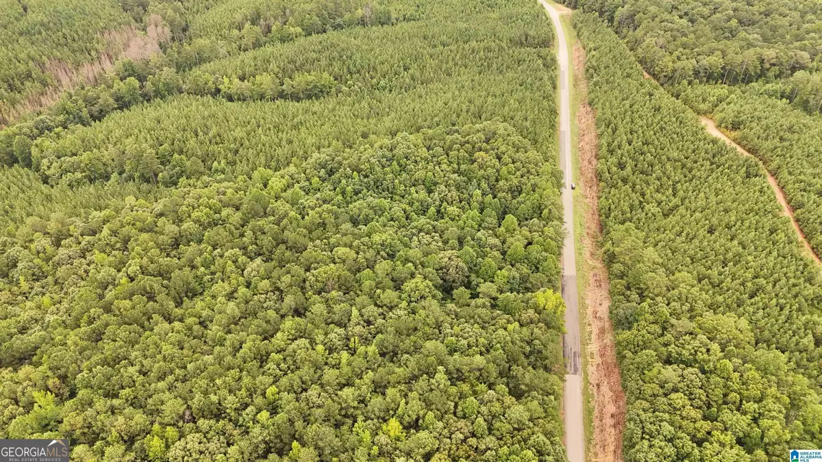 0 County Road 33, Fruithurst, AL 36262 - #1