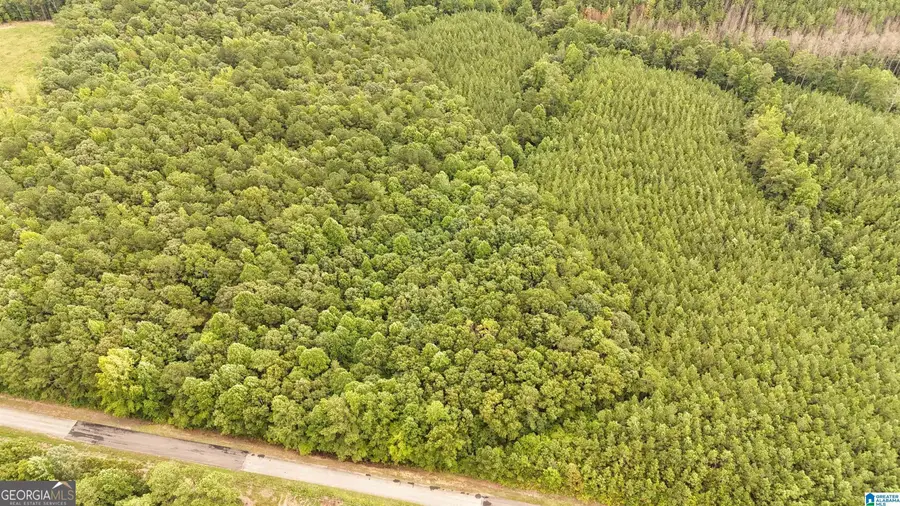 0 County Road 33, Fruithurst, AL 36262 - #2