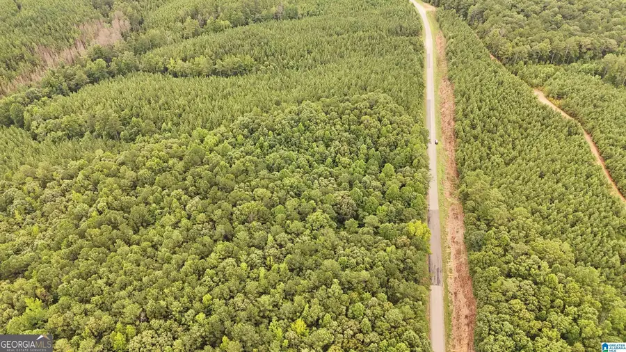 0 County Road 33, Fruithurst, AL 36262 - #3