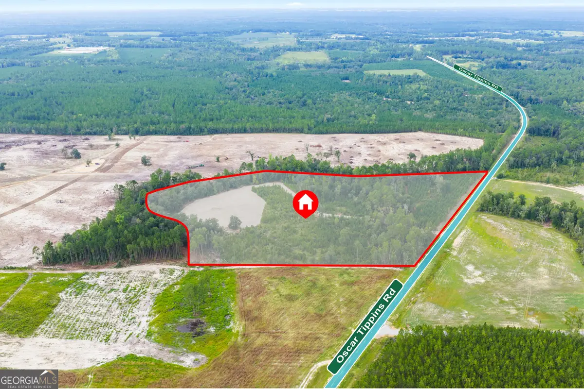 0 Oscar Tippins Road, Baxley, GA 31513 - #1