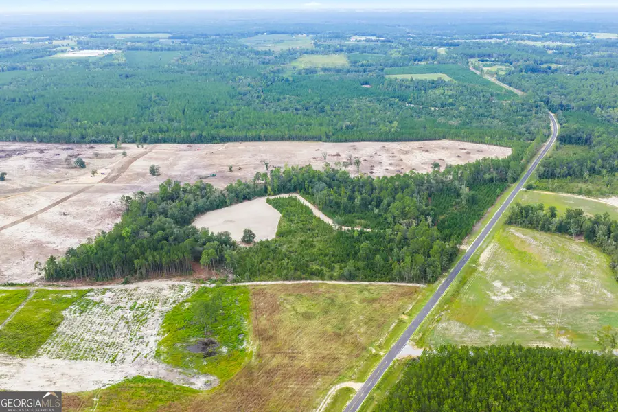 0 Oscar Tippins Road, Baxley, GA 31513 - #2