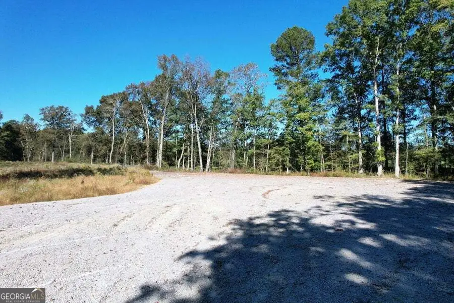 800 Hair Lake Road, Summerville, GA 30747 - #2