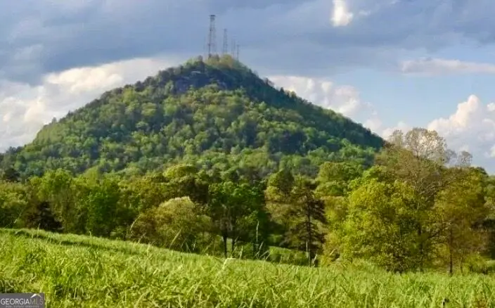 LOT 24 Oak Ct, Toccoa, GA 30577 - #2