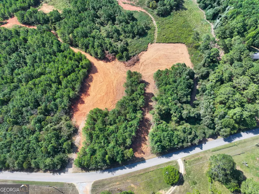 0 Cashtown Road - Tract 2 #TRACT 2, Aragon, GA 30104 - #3