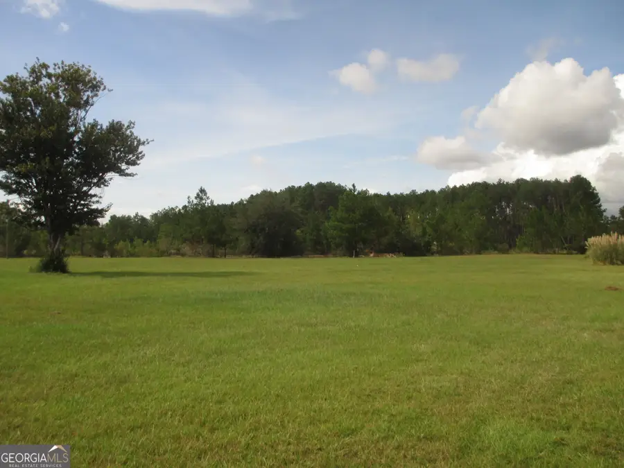 646 Foster Steadham Road, Baxley, GA 31513 - #2