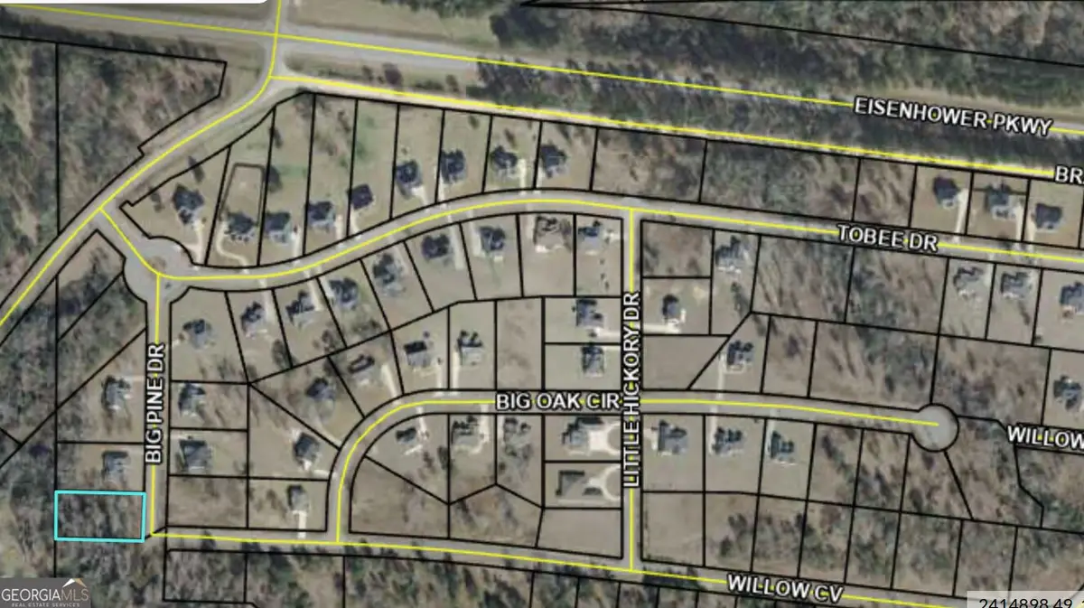 207 Big Pine Drive, Lizella, GA 31052 - #1