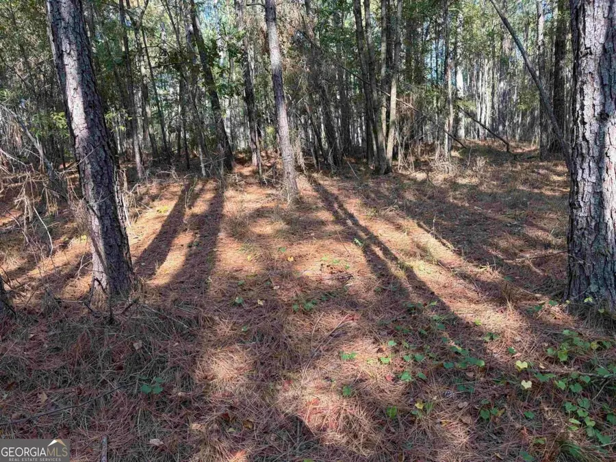 672 Twin Bridges Road, Eatonton, GA 31024 - #3
