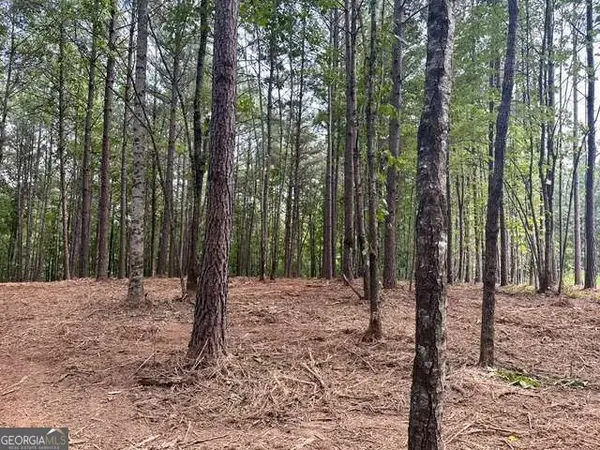 130 Patriot View Drive, Dahlonega, GA 30533