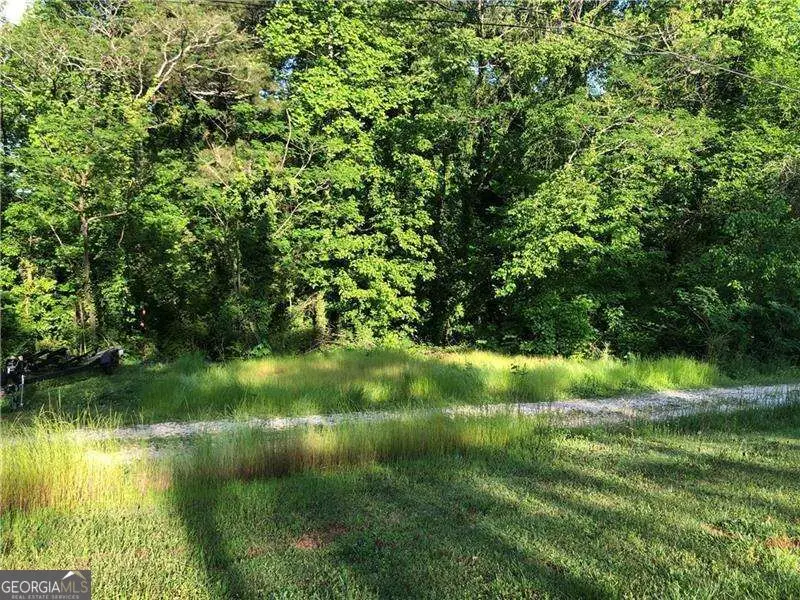 5642 Alligator Aly, Gainesville, GA 30506 - #1