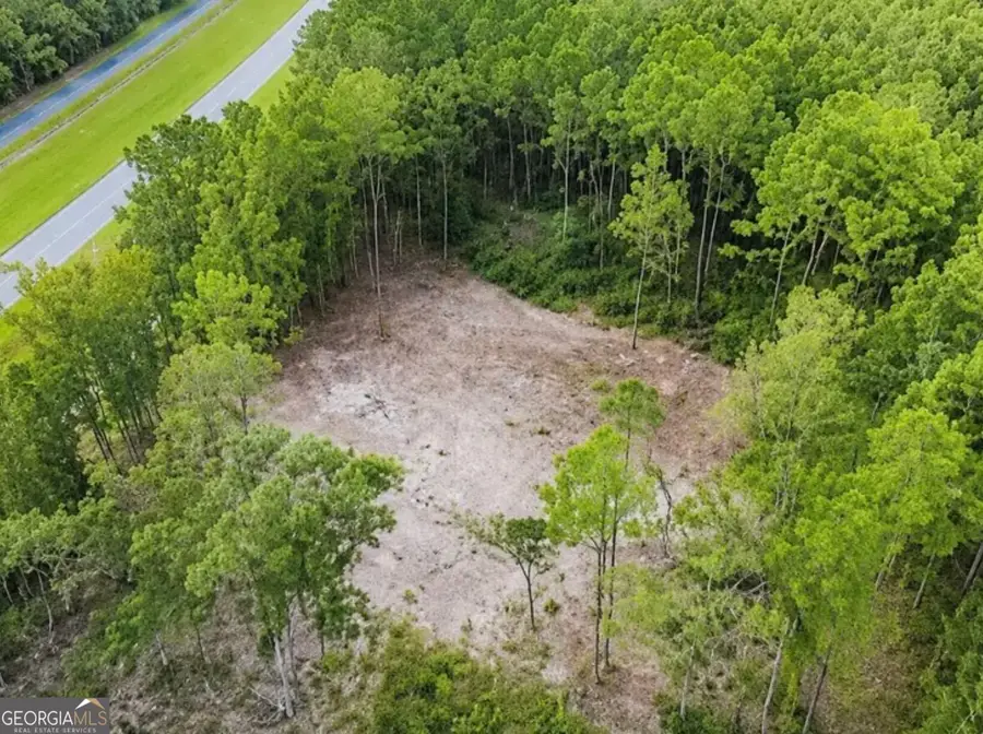 0 Rayland Tract #CHARLIE SMITH HWY, Saint Marys, GA 31558 - #3
