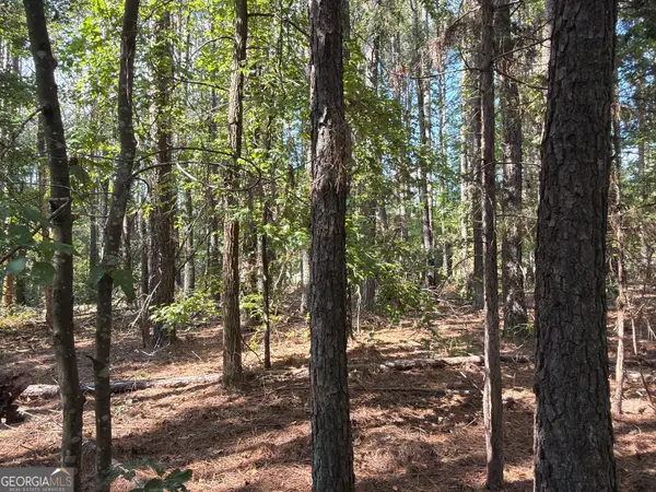 107 Popham Road, Taylorsville, GA 30178