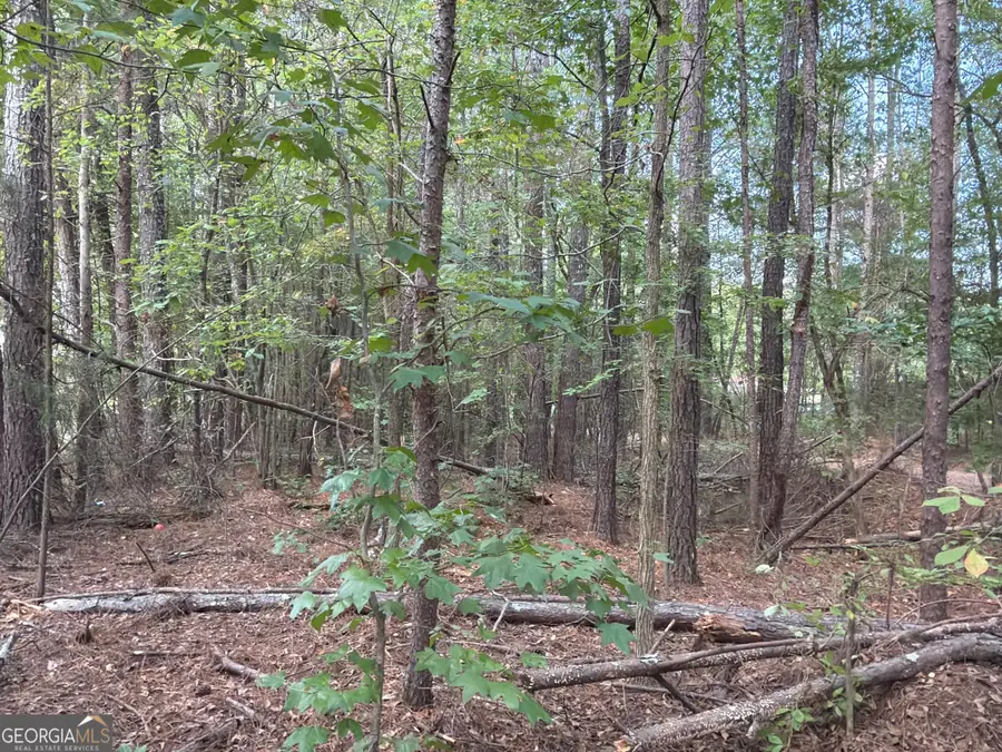 107 Popham Road, Taylorsville, GA 30178 - #3