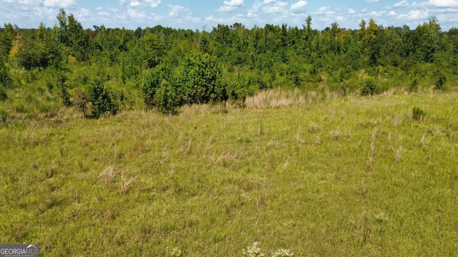 0 Airport Road, Dublin, GA 31021 - #2