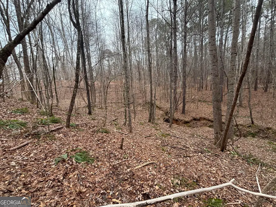 0 Oconee Rd Lot 1, Buckhead, GA 30625 - #2