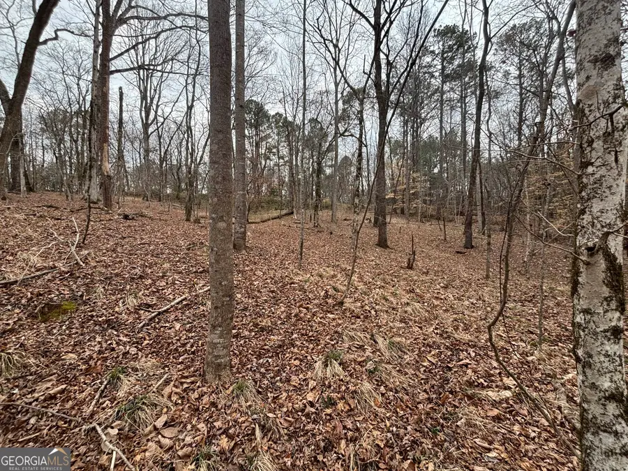 0 Oconee Rd Lot 1, Buckhead, GA 30625 - #3