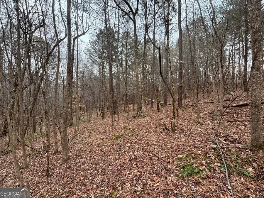0 Oconee Rd Lot 3, Buckhead, GA 30625 - #2
