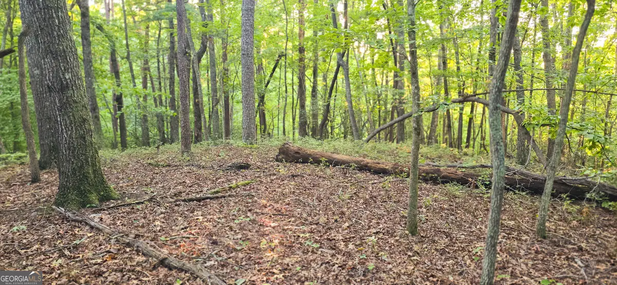 LOT 20 Seye Wailo Trail, Clarkesville, GA 30523 - #1