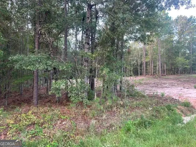 6423 Carlton Oaks Road, Garfield, GA 30425 - #3