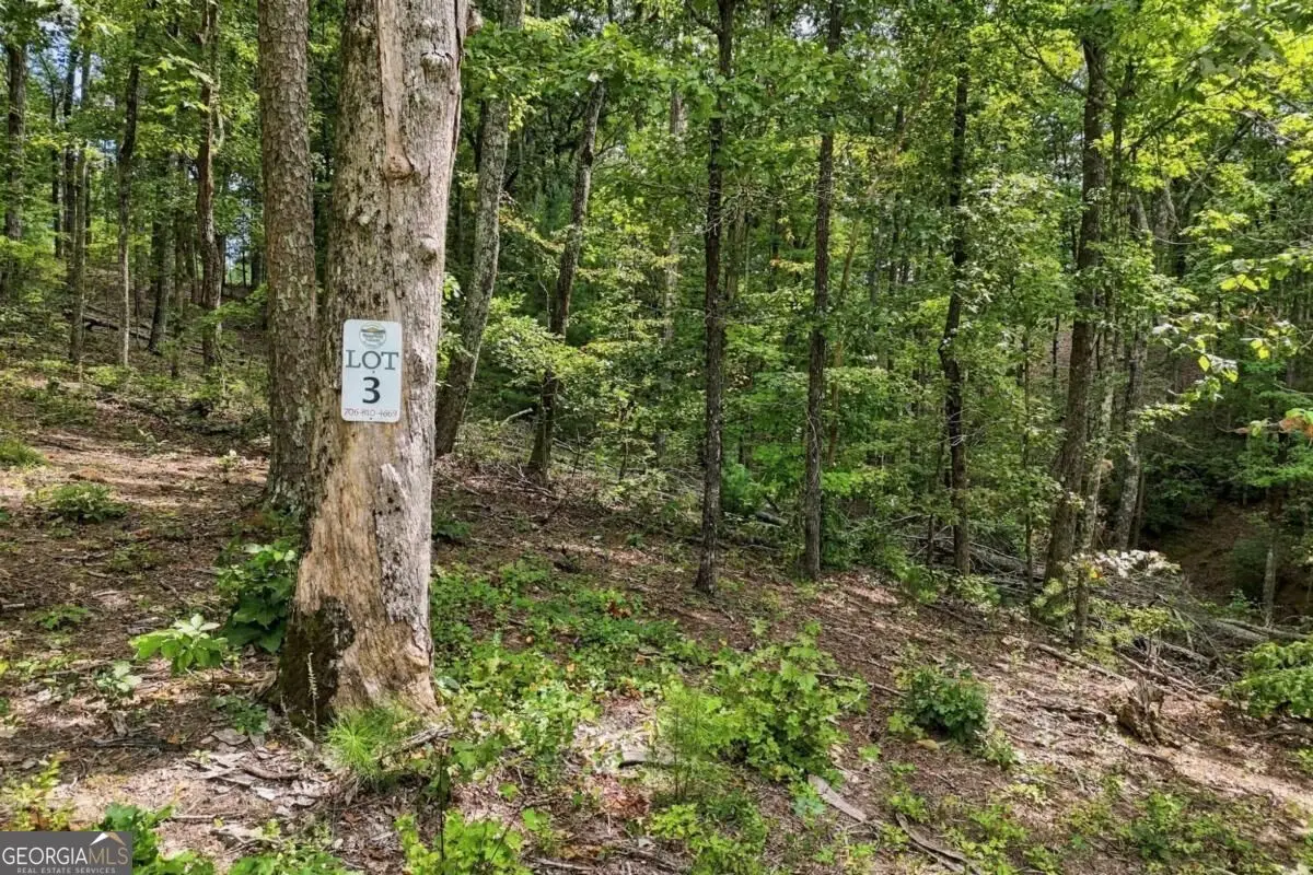 3 Turkey Spur Drive, Ellijay, GA 30540 - #1