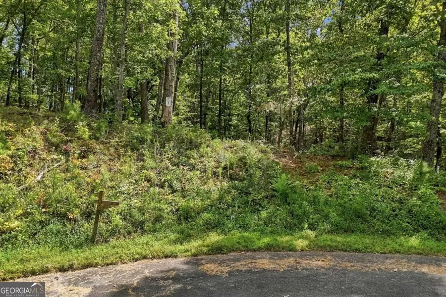 3 Turkey Spur Drive, Ellijay, GA 30540 - #2