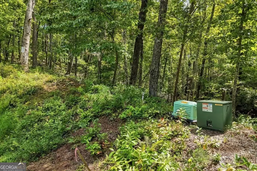3 Turkey Spur Drive, Ellijay, GA 30540 - #3