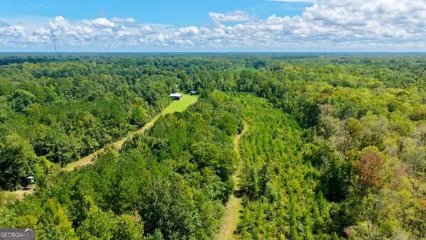 0 Rogers Landing Off S Herndon Road, Millen, GA 30442