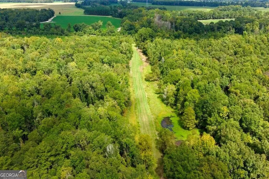 0 Rogers Landing Off S Herndon Road, Millen, GA 30442 - #3