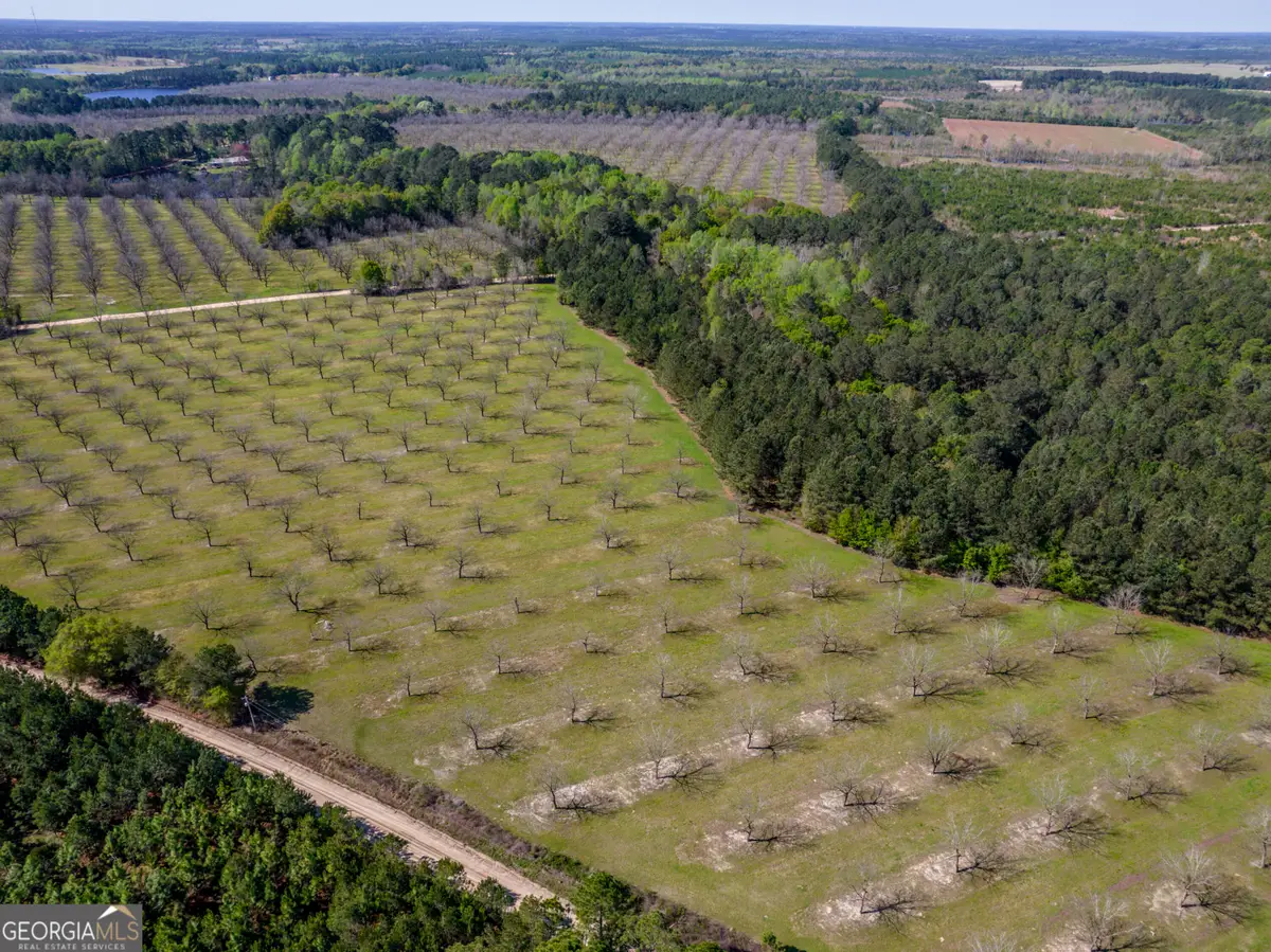 9.64 ACRES Kermit Road, Cobbtown, GA 30420 - #1