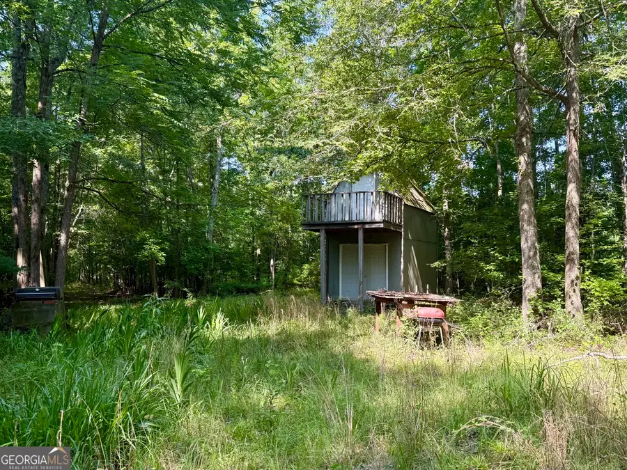 0 N Point Peter Road, Carlton, GA 30627 - #3