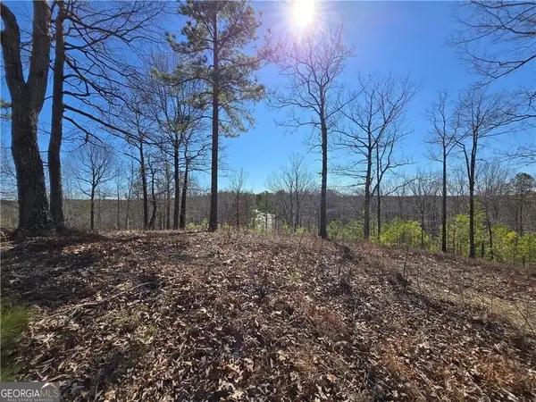 0 Brushy Mountain Road, Rockmart, GA 30153