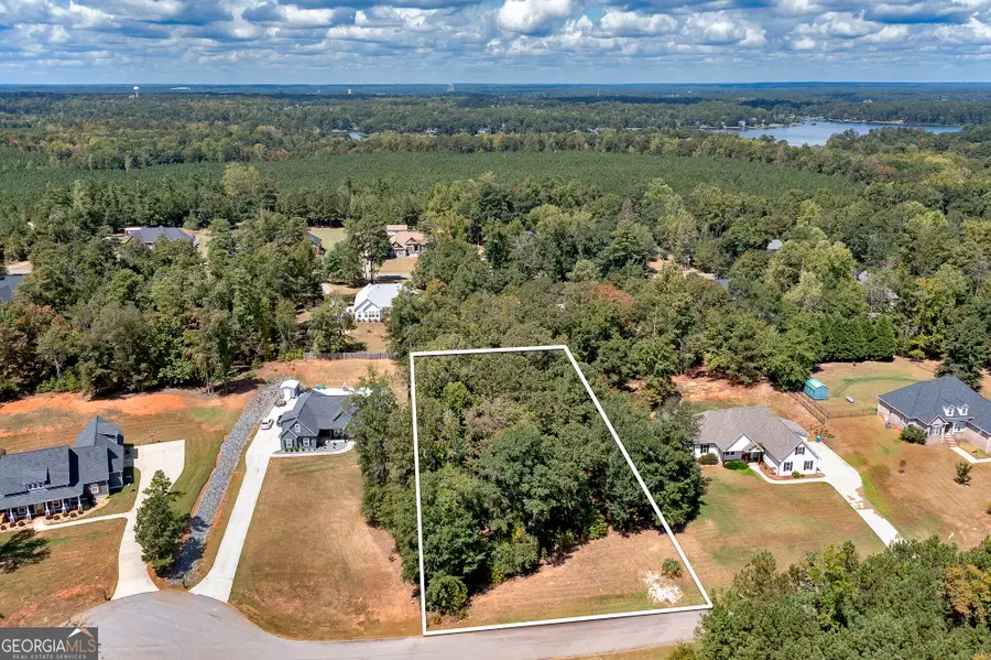 160 High Bluff Court, Milledgeville, GA 31061 - #3