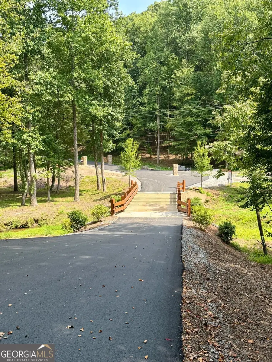 LOT 1 S Blue Horizon Drive, Blue Ridge, GA 30513 - #3