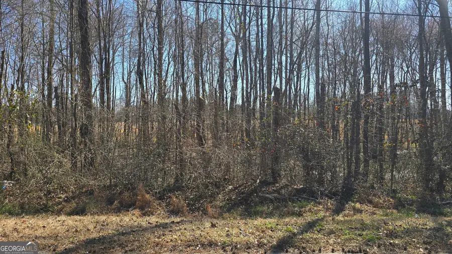 1110 Spring Creek Circle, Griffin, GA 30223 - #2