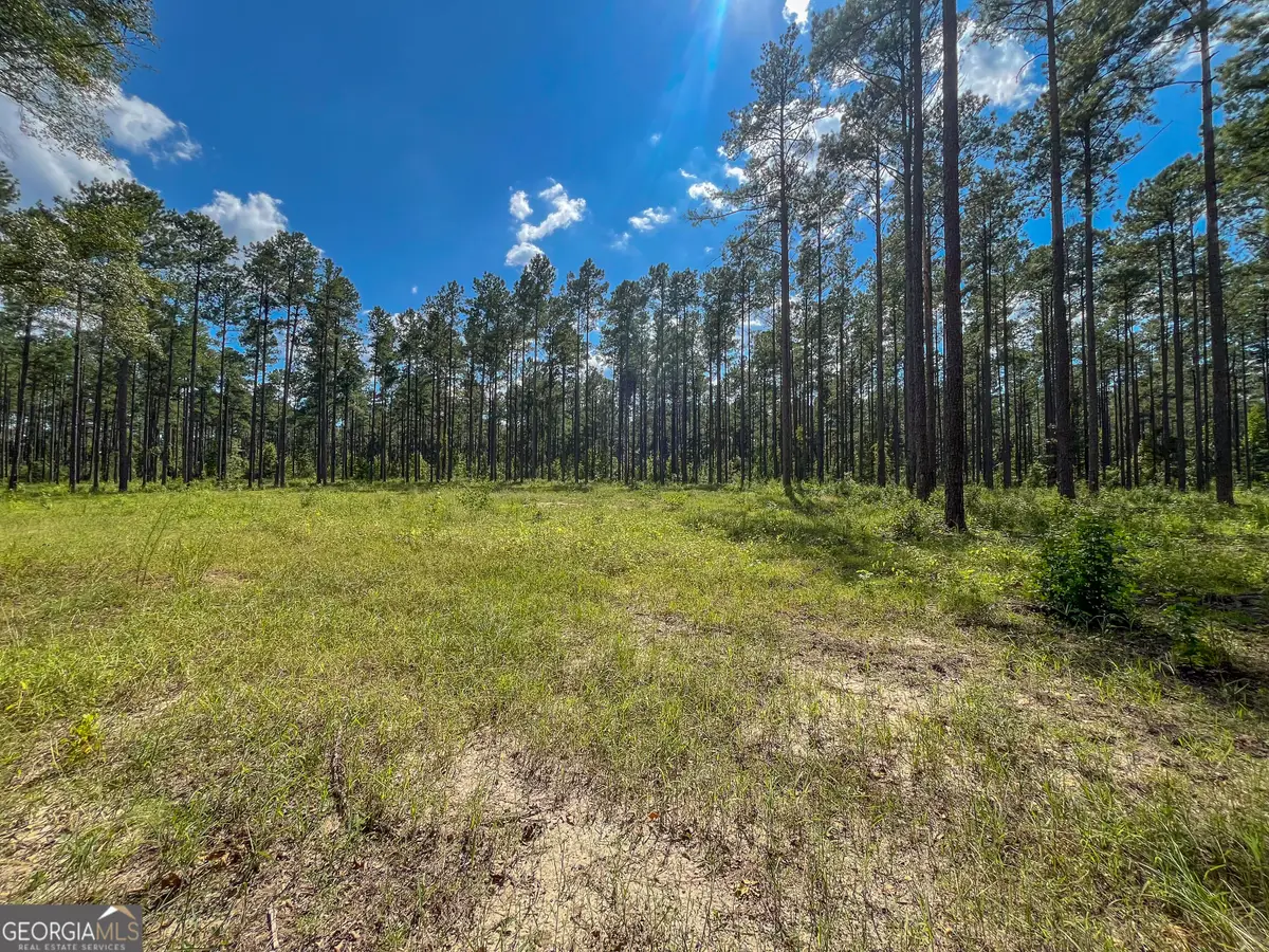 0 Mark Wood Rd. Lot 7, Dexter, GA 31019 - #1