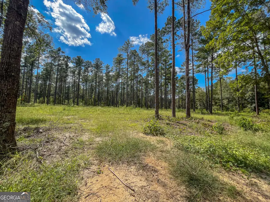 0 Mark Wood Rd. Lot 7, Dexter, GA 31019 - #3